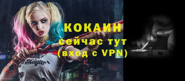 дурь Инсар