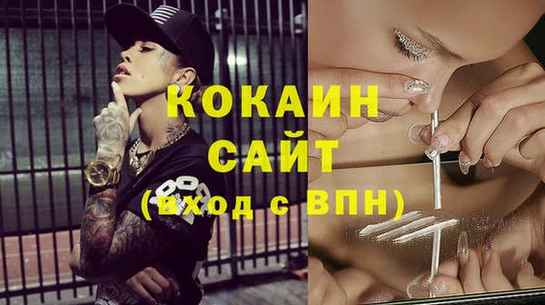 дурь Инсар