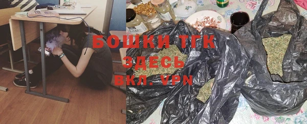 дурь Инсар