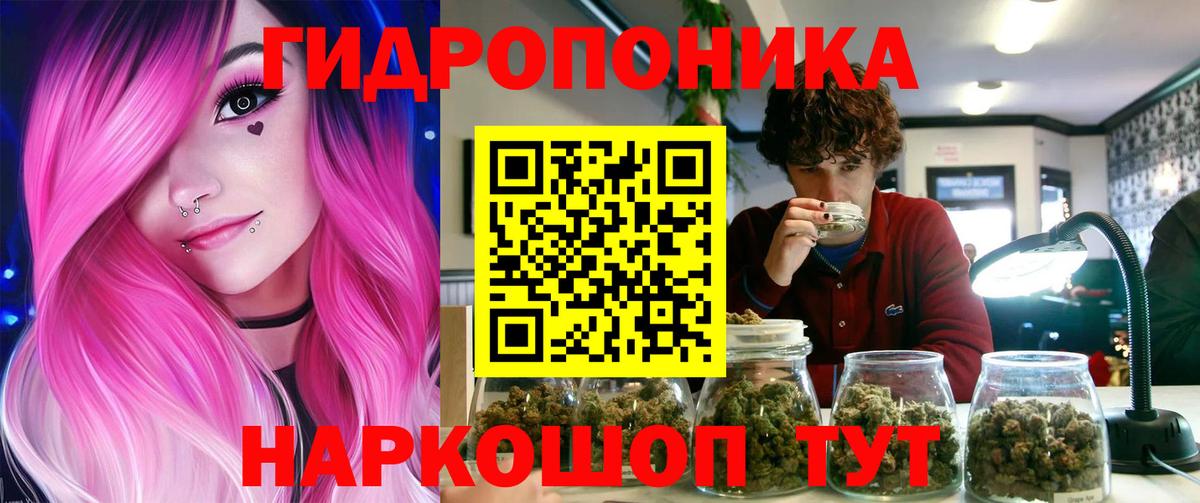 Ялта  Шишки марихуана семена  Бошки марихуана ГИДРОПОН  МАРИХУАНА VHQ  Вход с VPN 